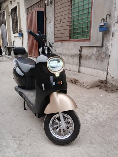 Evee Nisa Super Sale