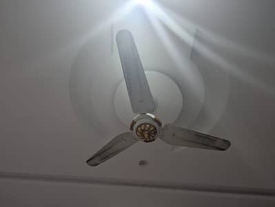 Plumber Electrician Service