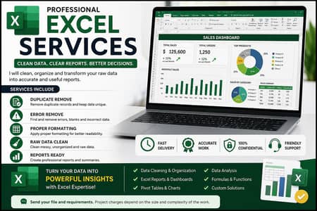 Excel Data Cleaning, Formatting & Reporting Services