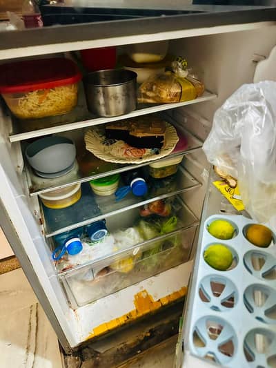 Fridge for sale.