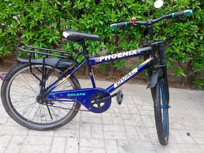 Phoenix MTB Bicycle With All Brakes Working 24 Inch Size
