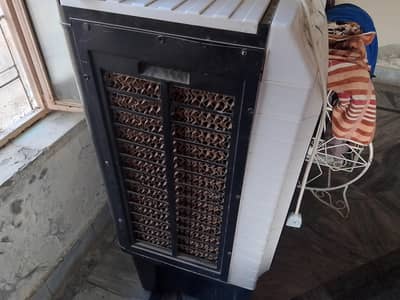 AC DC Air cooler for sale