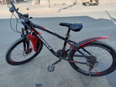 Evergold Mountain bike
