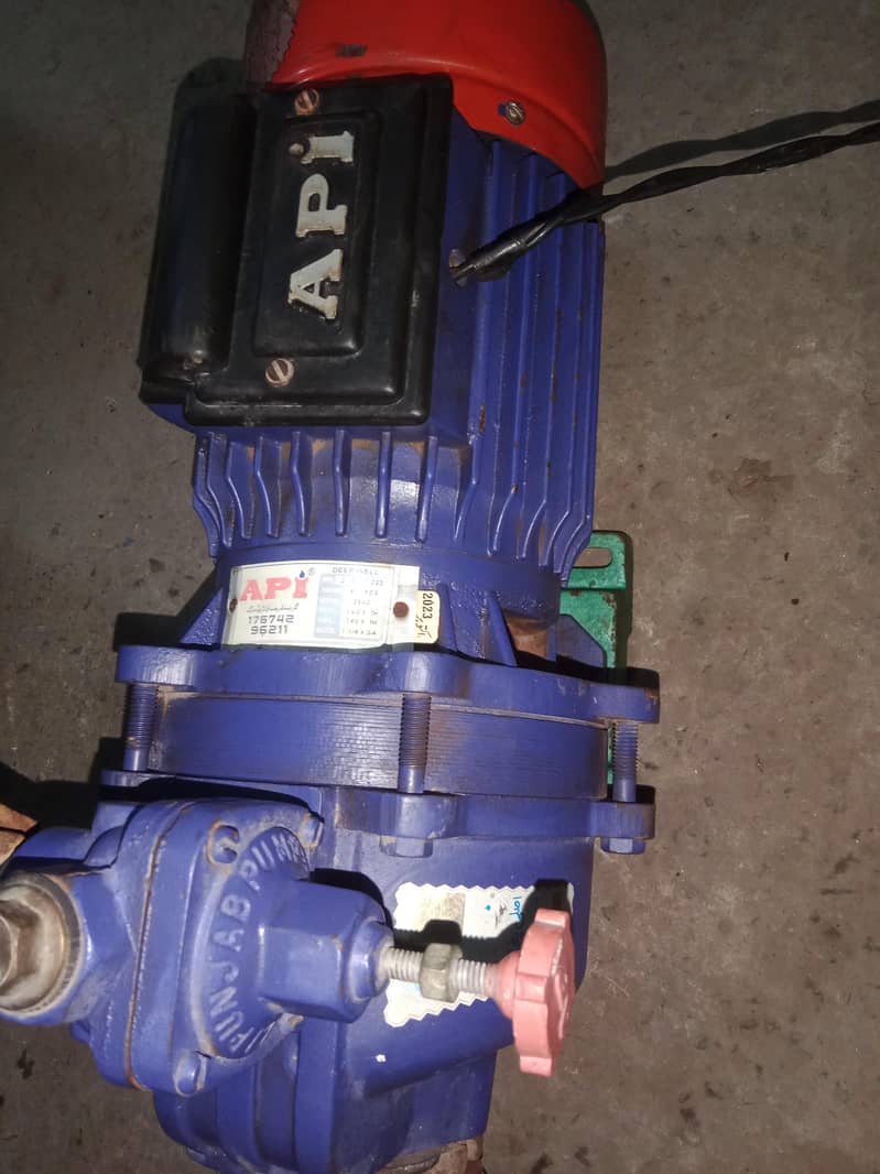 API DOUBLE INJECTOR WATER PUMP 1