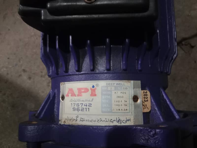 API DOUBLE INJECTOR WATER PUMP 2