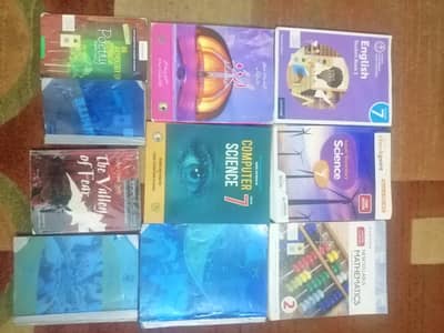 Beaconhouse Class 7 Books in Half price