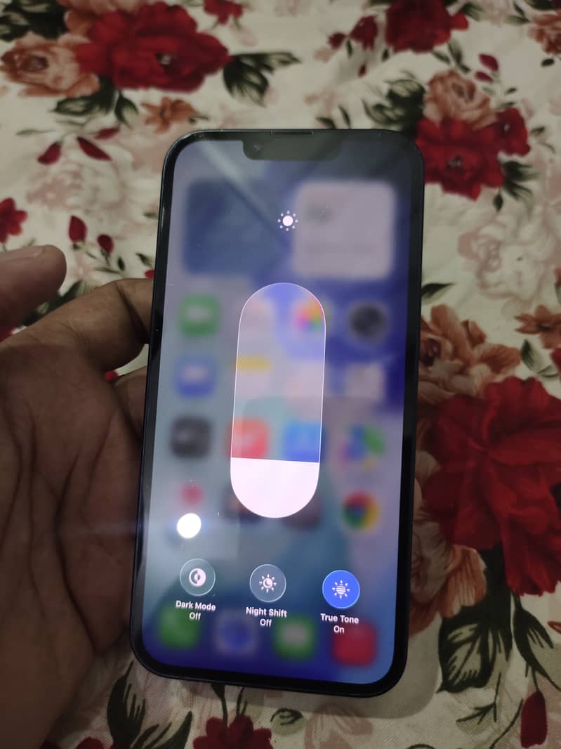 Apple iPhone 13 0
