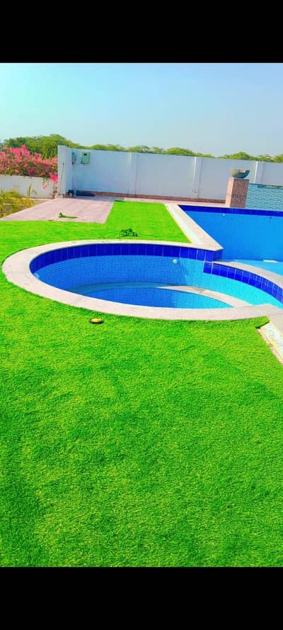 artificial grass cricket ground