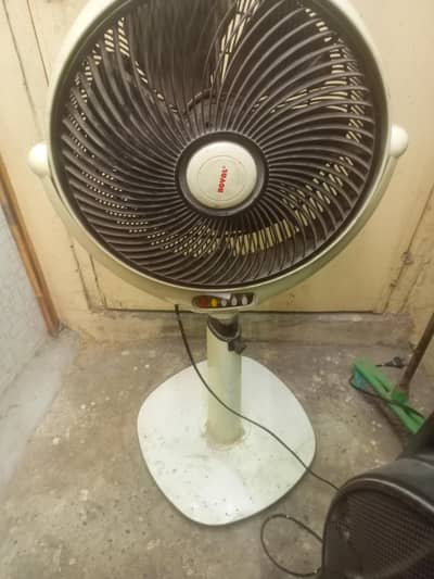 Royal Fan full working conditions