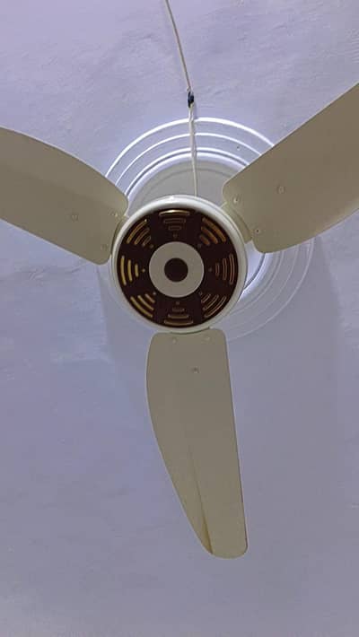 AC DC Fan for sell
