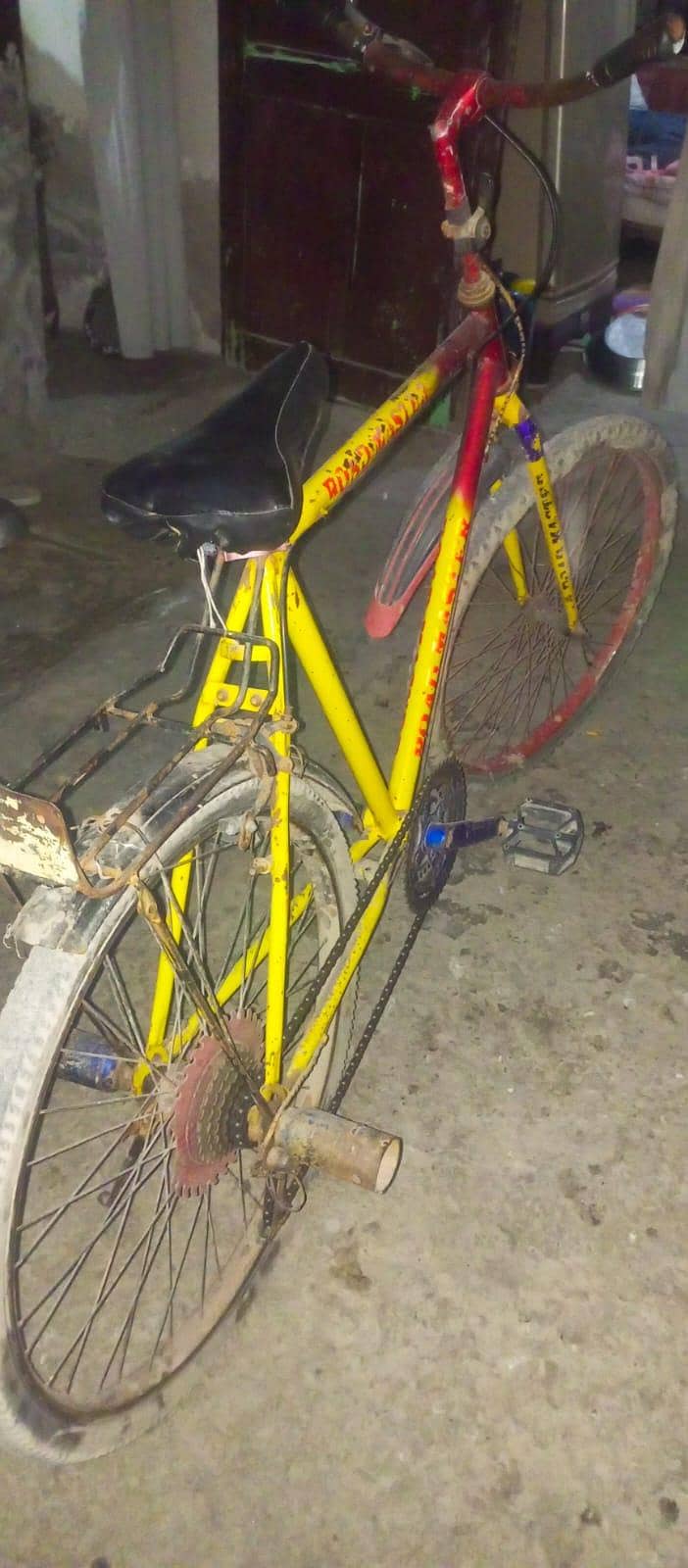 چینا گینکث  سکیل 1