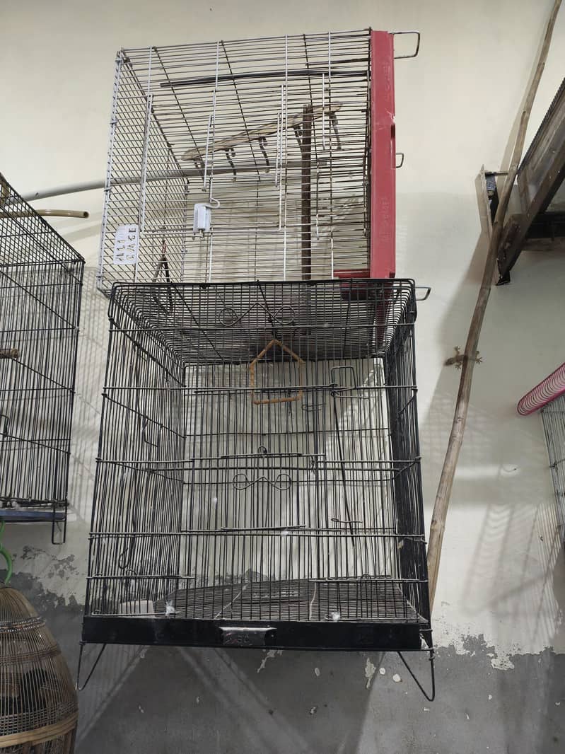 cages 1