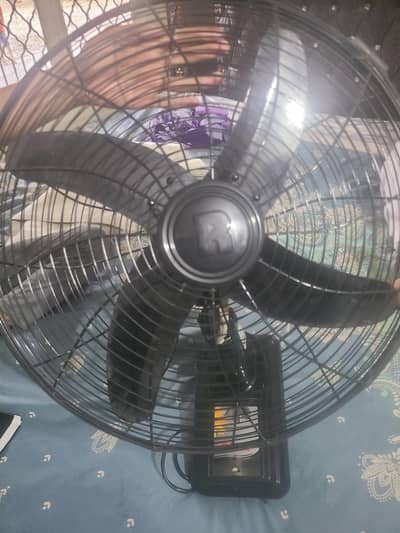 Royal beret Fan
