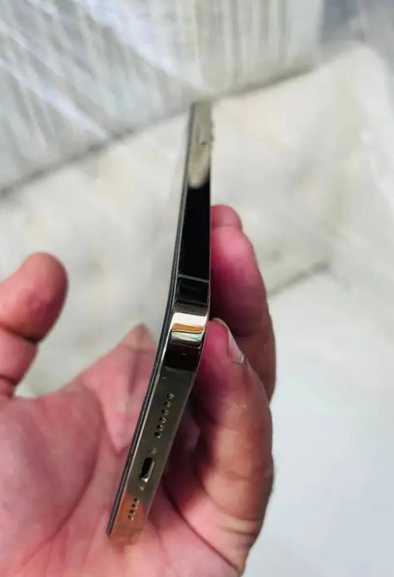 Apple iPhone 12 Pro Max 1