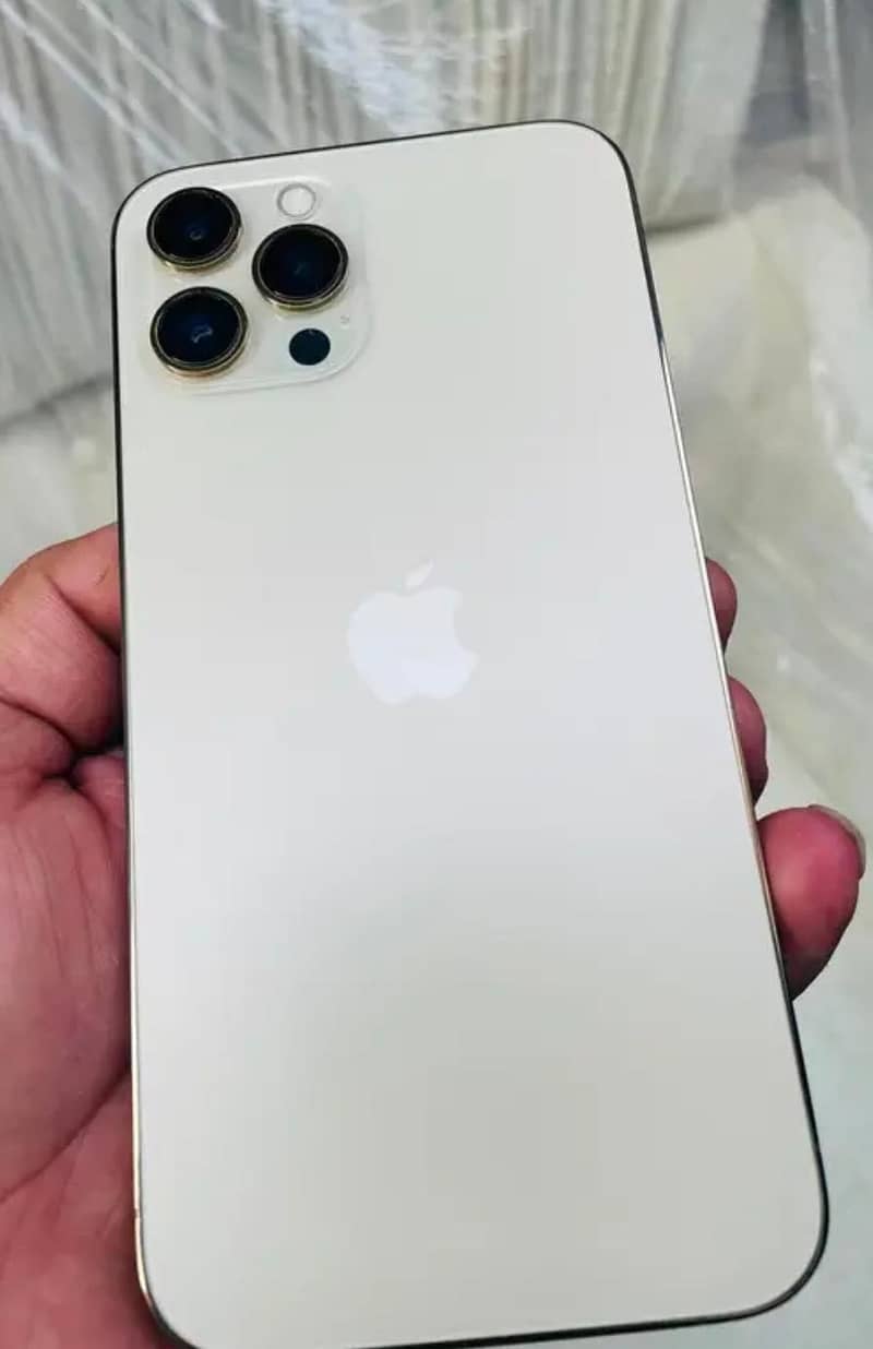 Apple iPhone 12 Pro Max 2