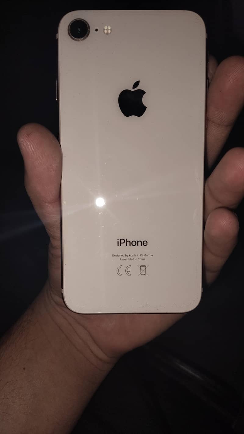 Apple iPhone 8 1
