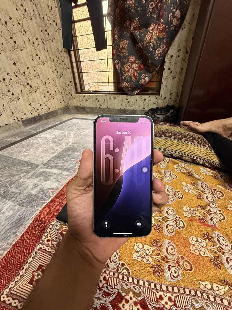 Apple iPhone 12 1