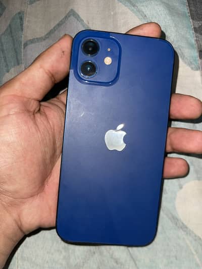 Apple iPhone 12