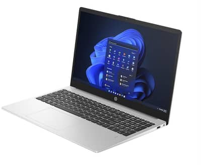 HP 255 G10 business laptop