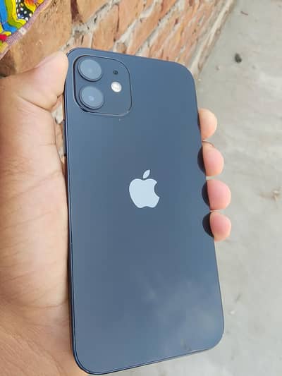 Apple iPhone 12