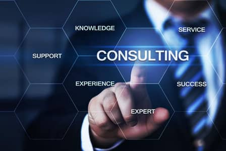 Professional Consultancy Services