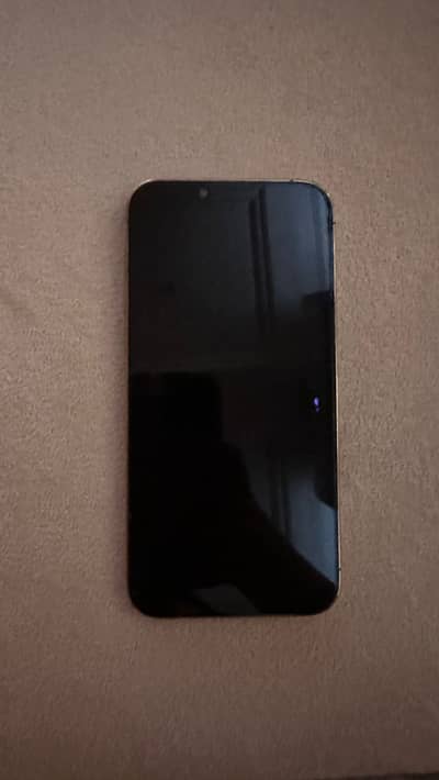 Apple iPhone 13 Pro Max