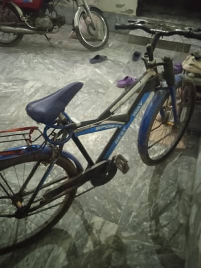 very best cycle