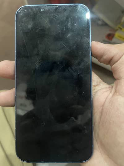 Apple iPhone 13