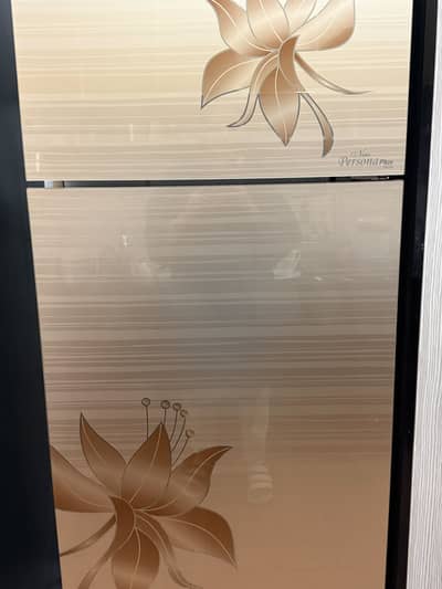 Kenwood New Persona Plus Double Door Refrigerator – Stylish Glass Door