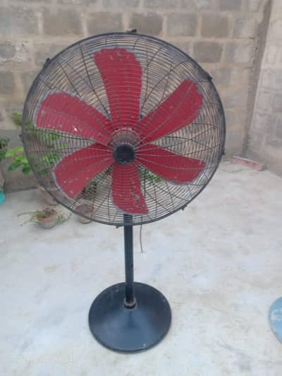 Pedestal fan