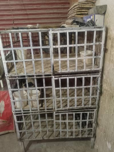 pinjra for sale 0/3/3/4/5/1/2/6/6/3/7