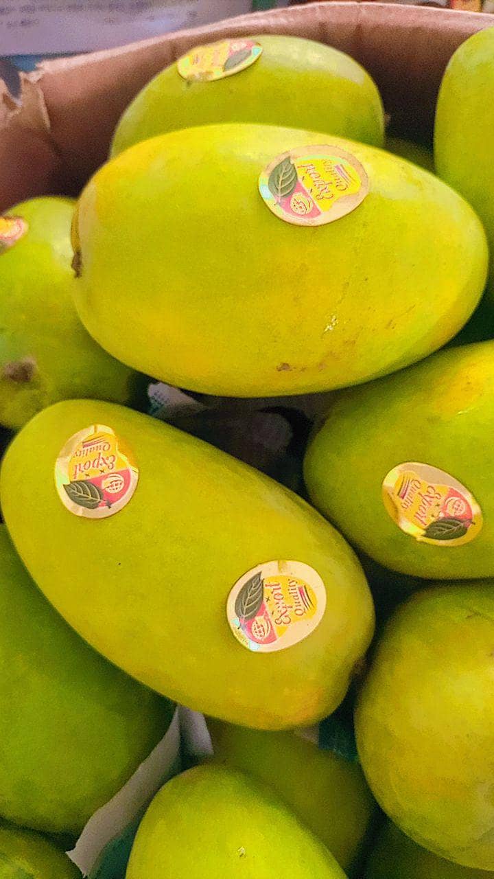 Mango 1