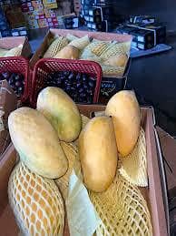 Mango 4