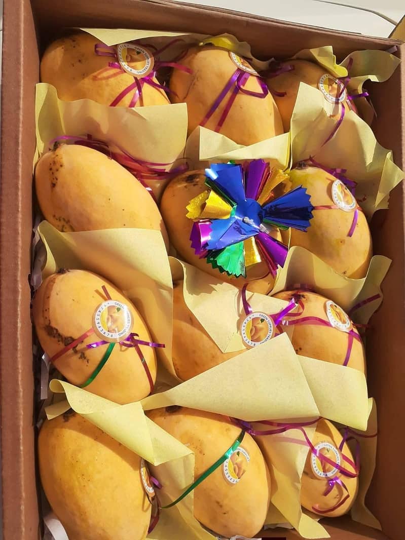 Mango 5