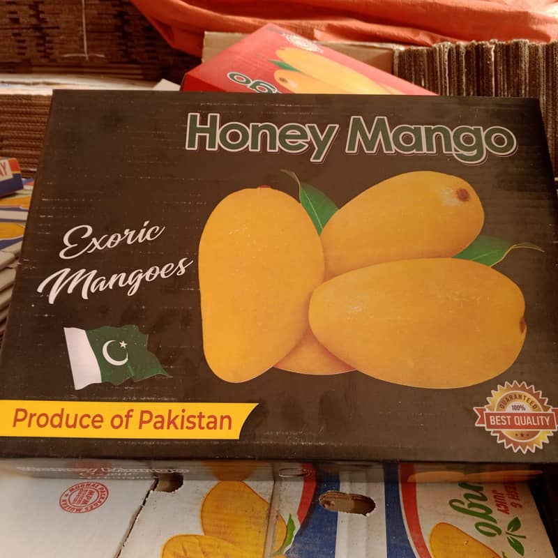 Mango 10