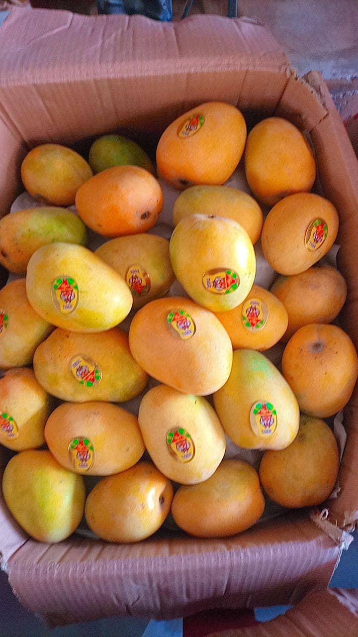 Mango 17