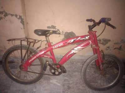 safari cycle