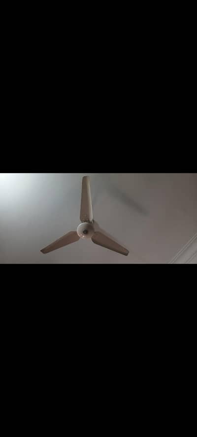 fans celling