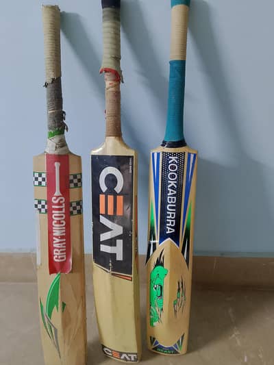 cricket bat