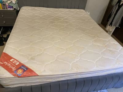 Master spring Air Mattress