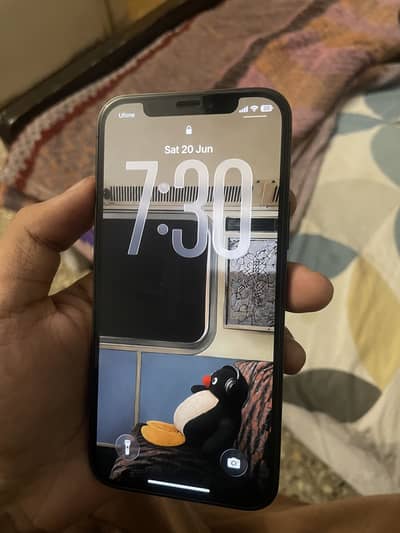 Apple iPhone 12 Pro