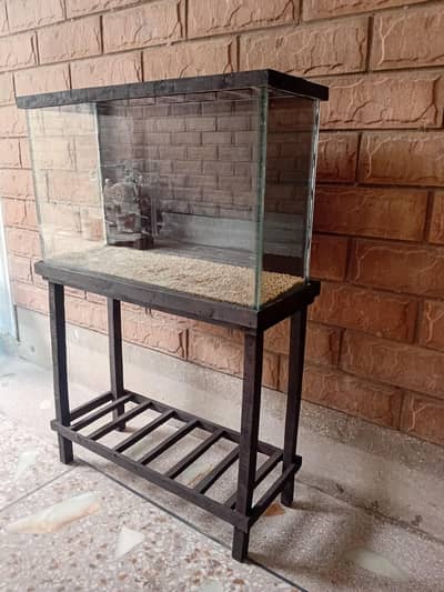 fish aquarium 2 feet