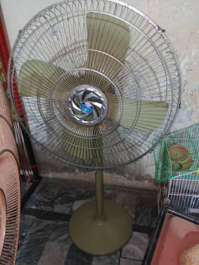 new condition