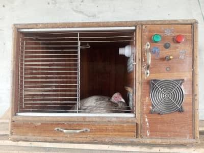 Incubator