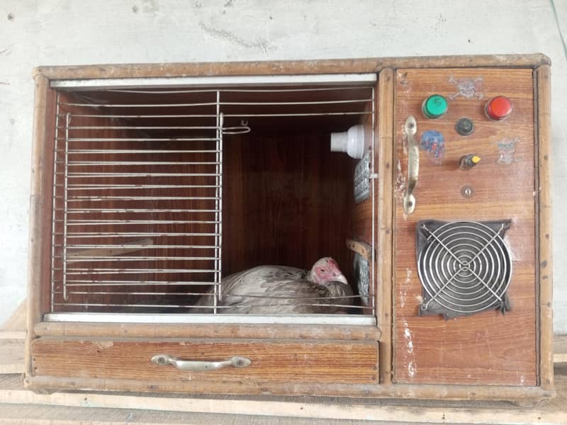 Incubator 0