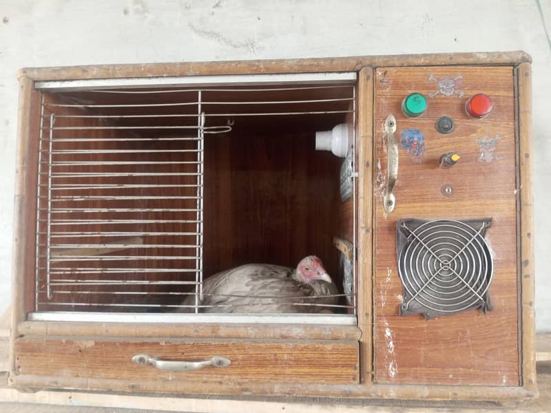 Incubator 3