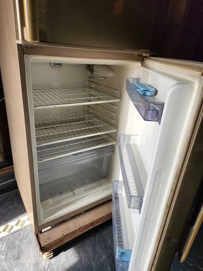 hair fridge for sale