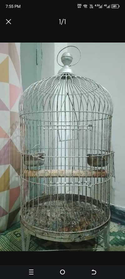 parrot cage