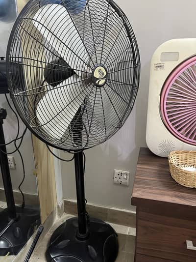 Padestal fan