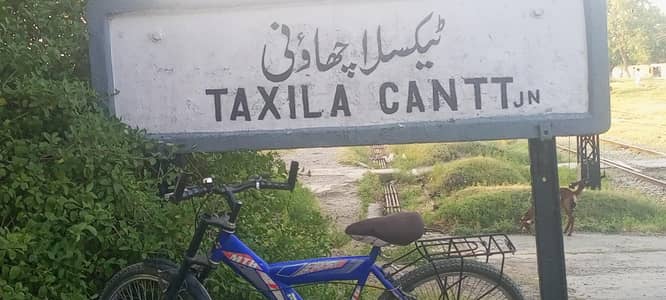 Best Road bicycle
